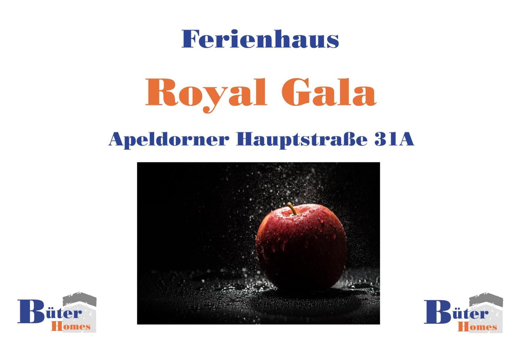 Ferienhaus "Royal Gala" Meppen Ebenerdig Carport Terrasse Neubau Netflix Free Wifi 2 Schlafzimmer Kueche Gaestewc Villa Esterno foto